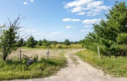 Vacant Land Wellman Line, Fremont Twp, MI 48097