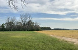 Vinson Ray Road, Baker, FL 32531