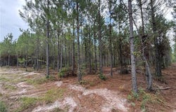 0 (lot 3) Corbitt Road, Manor, GA 31550