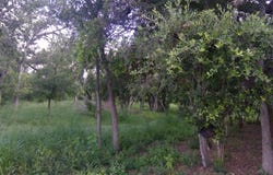 483 OAK KNOLL DR, San Antonio, TX 78228