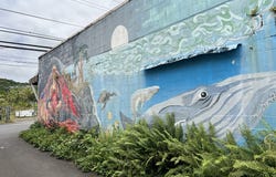 15-2931 PAHOA VILLAGE RD, Pahoa, HI 96778