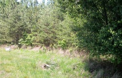 Floyd Road, Eden, NC 27288