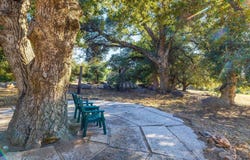3258 Pine Hills Rd, Julian, CA 92036