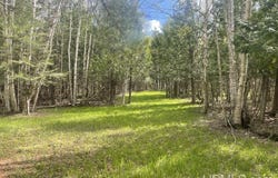 TBD Little Harbor Rd, Manistique, MI 49854