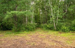 11792 State Hwy 23, Brook Park, MN 55007