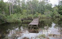 6803 Traylor Lane, Gulf Shores, AL 36542