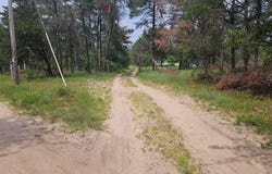 Witte Trail, Lovells, MI 49738