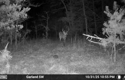 Old Dolph Road, Pineville, AR 72566