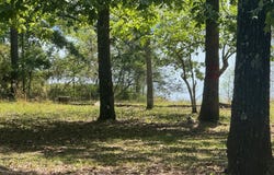 164 Griffith Drive, Ft. Gaines, GA 39851