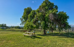 Trembath Mountain Road, Fiddletown, CA 95629