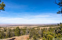 Wilderness Ranch Rd, Red Feather Lakes, CO 80545