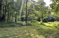Tract G Sutzer Creek Road, Eastview, KY 42732