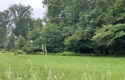 Conklin Hill Road, Damascus, PA 18415