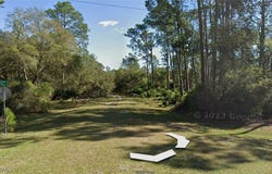 204 OCALA Court, Georgetown, FL 32139