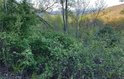 Lot 10 Park Vista Lane, Sparta, NC 28675
