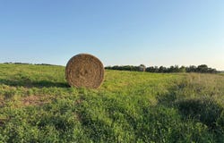 967 65th Avenue, Roberts, WI 54023
