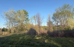 4854 State Route 17, West Plains, MO 65775