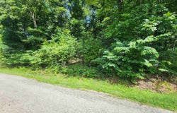L37B12 N lakeshore Circle, Cherokee Village, AR 72529