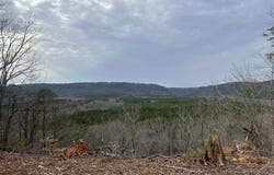 1450 County Road 137, Cedar Bluff, AL 35959