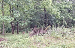 160 MOUNTAIN Rd, Tellico Plains, TN 37385