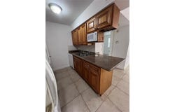 226 THORN TREE PLACE, BRANDON, FL 33510