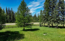 51 Grave Creek Road, Eureka, MT 59917