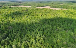 Sheffield Drive, Centertown, KY 42328