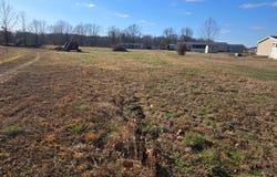 Turquoise Trail, PARIS, TN 38242