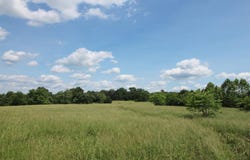 000 Couty Road 7830, Caulfield, MO 65626