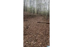 55741 HIGHWAY 25, LEEDS, AL 35094