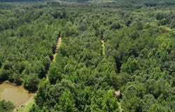 County Road 73, Myrtle, MS 38650