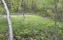 Potter Road, Lowell, VT 05847