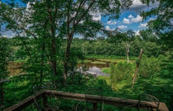 13952 CR 371, Winona, TX 75792
