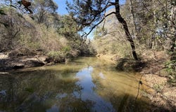 0 Tiger Drive, Elba, AL 36323