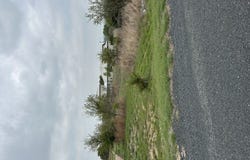 219 Roy Nichols, Blanco, TX 78606