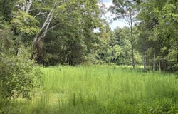 1306 Us 258, Como, NC 27818