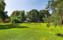 3345 Carter Road, Mims, FL 32754