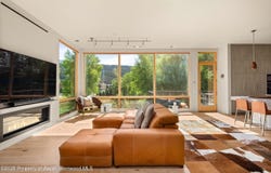 103 Willits Way, Basalt, CO 81621