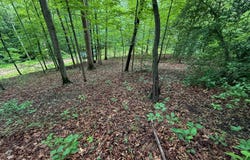 000 Laurel Heights Dr, Sutton, WV 26601