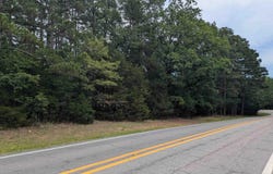 Pangburn Road, Pangburn, AR 72121