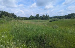 Vicary Road lot: 1, Cement City, MI 49233