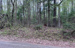 Off MOONSHINE VALLEY RD, Presque Isle, WI 54512