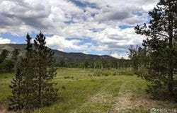 22 Tami Rd, Red Feather Lakes, CO 80545