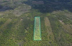 SW Paradise Way, Greenville, FL 32331