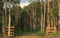 8093 Ranch Road, Hartsel, CO 80449