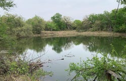 1045 Creek Crossing Road, Nemo, TX 76070
