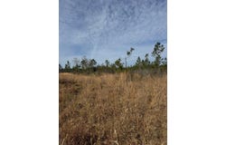 51 L Jack Stewart Rd, Poplarville, MS 39470