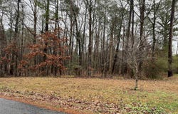 County Road 380 lot: 2 Blk 4, Centre, AL 35960