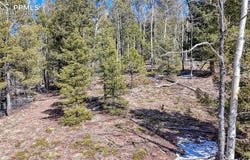 542 Vivenda Road, Cripple Creek, CO 80813