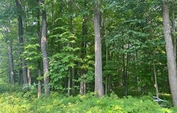 On HWY 55, Pearson, WI 54462